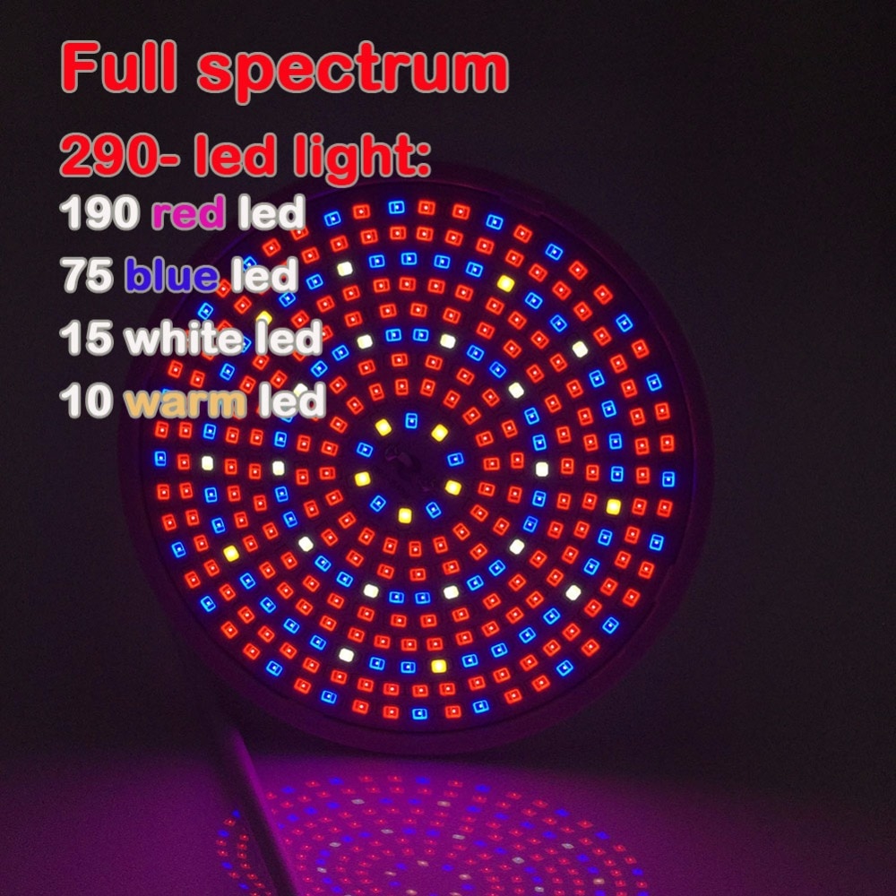 28048 (2) Full spectrum