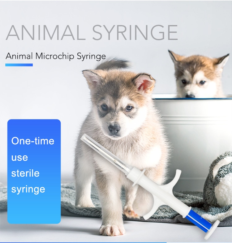 animal pet syringe (1)