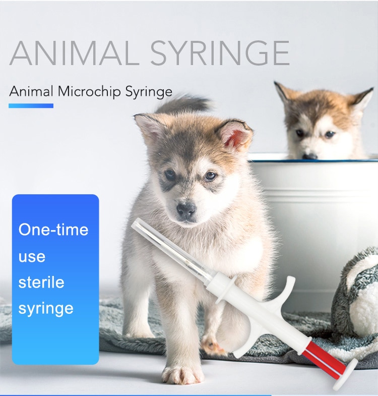 animal syringes (1)