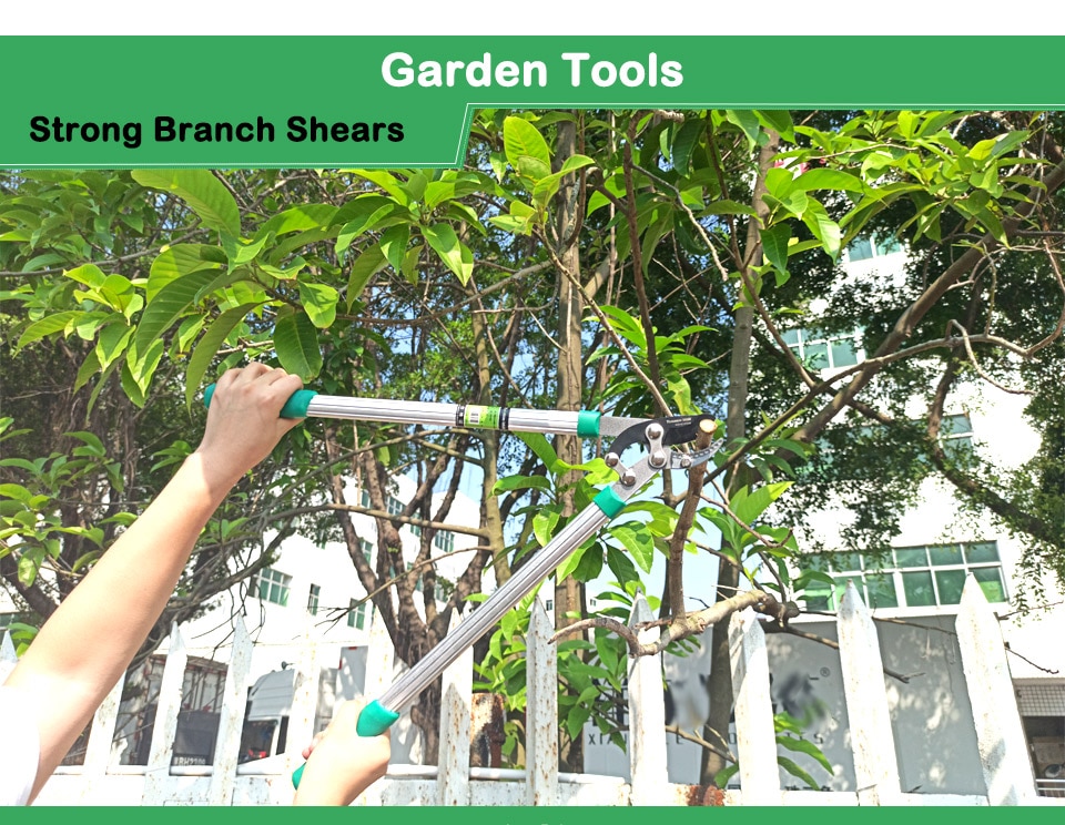 Pruning Shear Garden Tools _01