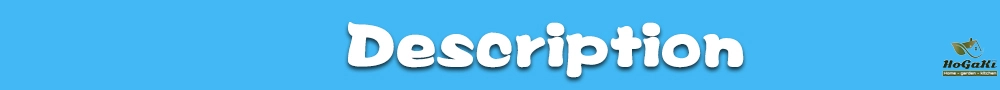 HTB1SrW5X5nrK1Rjy1Xcq6yeDVXaE