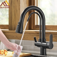 Quyanre Matte Black Filtered Crane For Kitchen Pull Out Spray 360 Rotation Water Filter Tap Three Ways Sink Mixer Kitchen Faucet