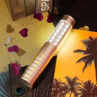 LICE-2 Pieces LED Strobe Light LED Bottle Service Light Reusable Champagne Bottle Handheld Light For Party Concert,US Plug