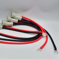 1pcs Double Pole 50A 600V High Current Plug with 8AWG M8 Silicone Cable Electric Forklift Plug Quick Charging Connector