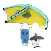Handheld Wind Surfing Kite Wing Board Kite Surfing Kites Inflatable Kiteboards Surfing Set Wing