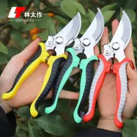 Seiko Art Park Scissors for Branch Cutting, Special Scissors for Branch Trimming, Garden Fruit Tree Trimming, Household Scissors