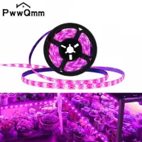 1-5m Plant Light Grow USB LED Strip 5V LED Full Spectrum Waterproof LED Chip For Greenhouse Flower Seedling Grow Tent Hydroponic