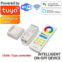 12V Smart Tuya App Wifi RGB Remote Control For Underwater Swimming Pool Lights